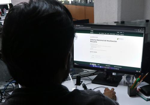 Beneficiará en el proceso de expedición de certificados para la movilización del ganado, que será más ágil, eficiente y segura