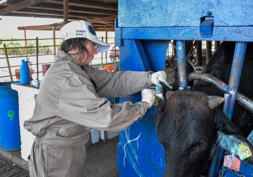 Como medida preventiva, se mantendrá vigilancia epidemiológica intensiva por al menos seis semanas adicionales