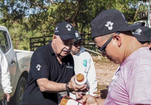 Para evitar la dispersión de la plaga, Senasica ha iniciado un plan emergente: atención directa en campo y la liberación focalizada de moscas estériles