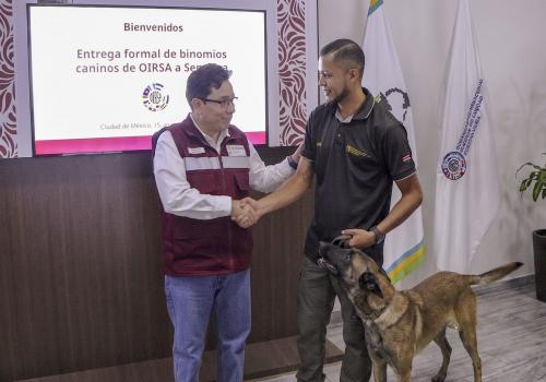 El Senasica recibió 15 binomios caninos del OIRSA, provenientes de varios países de Centroamérica y el Caribe, para reforzar la inspección de productos agroalimentarios en México durante la Copa Mundial. El Senasica recibió 15 binomios caninos del OIRSA, provenientes de varios países de Centroamérica y el Caribe, para reforzar la inspección de productos agroalimentarios en México durante la Copa Mundial.