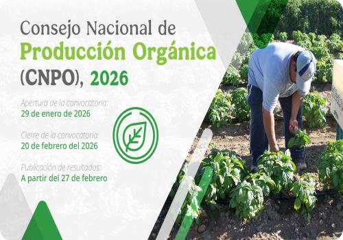 La vigencia será de dos años, entrando en funciones a partir de marzo de 2026 y hasta marzo de 2028