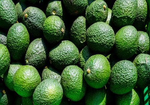 Las y los productores deben seguir con la aplicación de medidas fitosanitarias para que los municipios conserven el estatus de zona libre