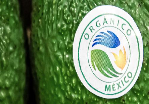 Las y los productores orgánicos, en su mayoría de pequeña y mediana escala, cultivan en 210 mil 504 hectáreas de Chiapas, Sonora, Jalisco, Sinaloa, Baja California, Michoacán y Oaxaca