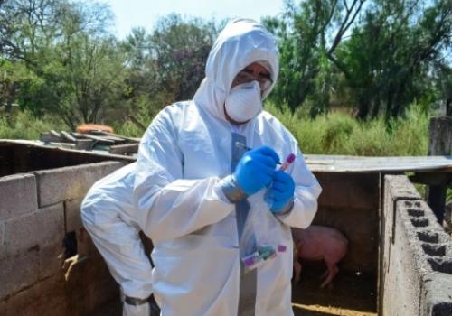 Nuestro país comparte esta distinción con Estados Unidos, Canadá, Australia, Suiza, Portugal, Italia y Francia