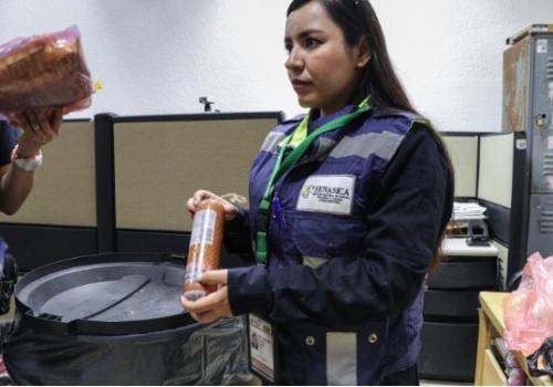 La medida se adopta con base en protocolos internacionales para proteger a la producción porcícola nacional de posibles riesgos zoosanitarios La medida se adopta con base en protocolos internacionales para proteger a la producción porcícola nacional de posibles riesgos zoosanitarios