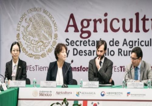 México y Corea realizaron un programa de fortalecimiento de capacidades en inocuidad agroalimentaria para intercambiar conocimientos técnicos y regulatorios que impulsen el comercio de alimentos sanos y seguros entre ambos países.