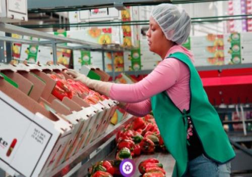 La adopción de sistemas de inocuidad en los procesos de producción abre las puertas a mercados de mayor rentabilidad y protege la salud pública La adopción de sistemas de inocuidad en los procesos de producción abre las puertas a mercados de mayor rentabilidad y protege la salud pública