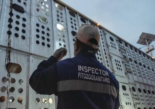 El Senasica opera una red de 259 Puntos de Verificación e Inspección, 163 Sitios de Inspección y 108 rutas de inspección itinerante. El Senasica opera una red de 259 Puntos de Verificación e Inspección, 163 Sitios de Inspección y 108 rutas de inspección itinerante.