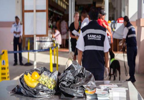 Más de mil 400 oficiales trabajan las 24 horas al día para la revisión de embarques comerciales y equipajes de turistas que ingresan al país