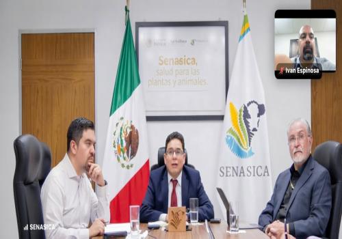 Senasica y Grupo Kowi coordinan acciones para reactivar el TIF 74 de Navojoa tras afectaciones por lluvias. Senasica y Grupo Kowi coordinan acciones para reactivar el TIF 74 de Navojoa tras afectaciones por lluvias.