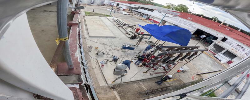 Los avances son fruto del esfuerzo conjunto y la coordinación entre Agricultura, Senasica, USDA y APHIS.