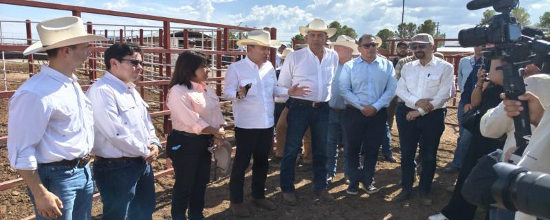 Se reanuda la exportación de ganado a EE. UU. desde Agua Prieta, Sonora