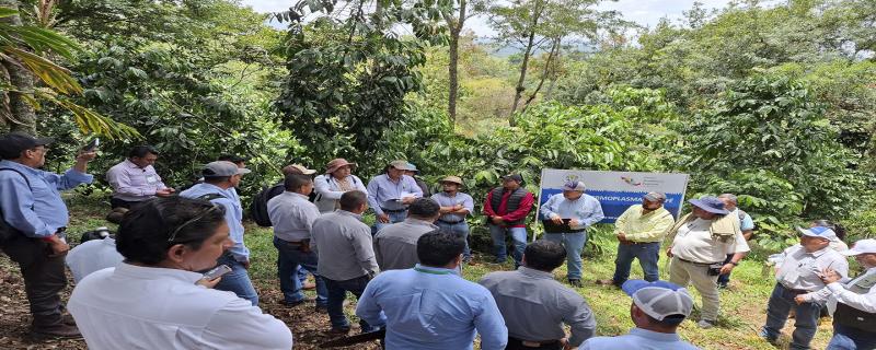 La estrategia fortalece la protección fitosanitaria en 10 estados del país, donde se cultivan más de 700 mil hectáreas dedicadas al cultivo del café.