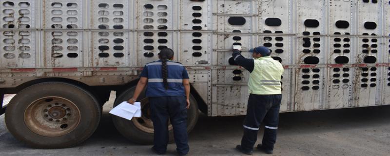 La CNOG subraya que las medidas acordadas entre el Gobierno de México y las y los productores primarios son indispensables para preservar la sanidad del hato nacional y sostener la viabilidad económica del sector