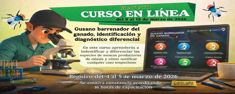Curso gratuito