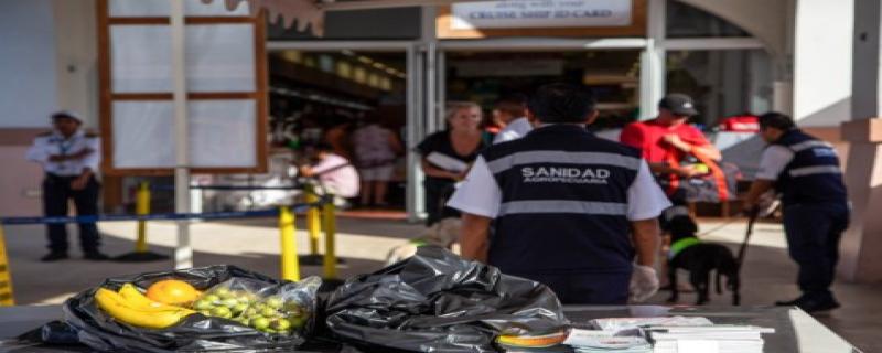 Viajeras, viajeros y quienes ingresen con mascotas u otros animales, deben revisar requisitos y listas oficiales para evitar contratiempos