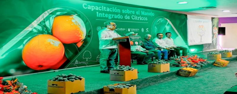 Especialistas de la Dirección General de Sanidad Vegetal impartieron el curso “Manejo Integrado de Cítricos” en colaboración con investigadores, técnicos de los Comités Estatales de Sanidad Vegetal y representantes de secretarías de Agricultura