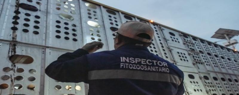 El Senasica opera una red de 259 Puntos de Verificación e Inspección, 163 Sitios de Inspección y 108 rutas de inspección itinerante.
