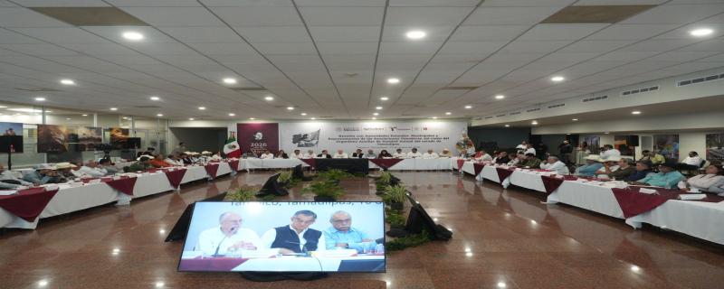 El trabajo coordinado entre gobiernos estatales, municipales, productores, Senasica y Agricultura es la base de la estrategia de contención y erradicación del GBG.