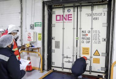 En 2025 se interceptaron ocho mil 661 embarques con presencia de amenazas fito y zoosanitarias, provenientes de 24 países