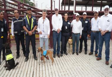 Las mejoras en corrales, zonas de inspección y áreas operativas elevan el bienestar animal y la capacidad de detectar y contener el gusano barrenador del ganado, consolidando a Cosamaloapan como punto estratégico para proteger la ganadería de México