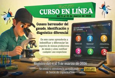 Curso gratuito