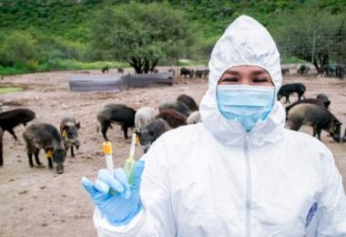 Agricultura y Gobierno de Tamaulipas refuerzan la sanidad e inocuidad