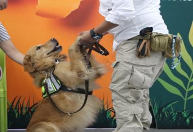 Inspectores caninos: aliados de la sanidad agroalimentaria
