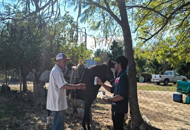 Para inactivar el caso dentro de los plazos establecidos en el protocolo, de manera inmediata el Senasica desplegó personal técnico especializado para fortalecer la vigilancia en la zona