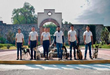 Seis binomios caninos de la 76.ª generación se integran de inmediato a la inspección en los PVIF de Cosamaloapan y Paralelo 18, en Veracruz